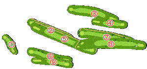 コース全体俯瞰図