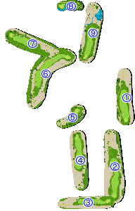 コース全体俯瞰図