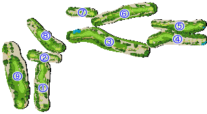 コース全体俯瞰図