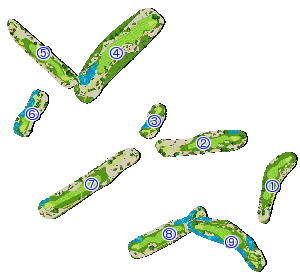 コース全体俯瞰図