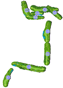 コース全体俯瞰図