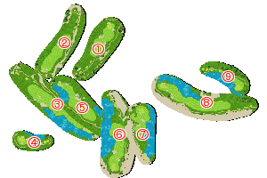 コース全体俯瞰図