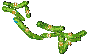 コース全体俯瞰図