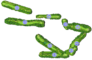 コース全体俯瞰図
