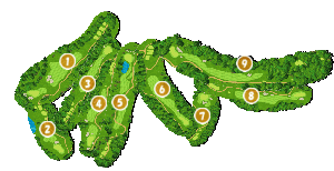 コース全体俯瞰図