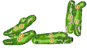 コース全体俯瞰図