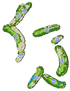 コース全体俯瞰図