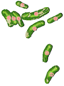 コース全体俯瞰図