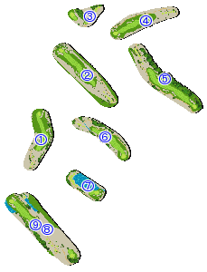 コース全体俯瞰図