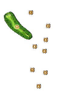 コース全体俯瞰図