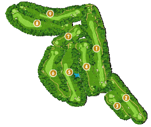 コース全体俯瞰図