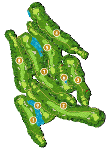 コース全体俯瞰図