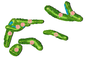 コース全体俯瞰図