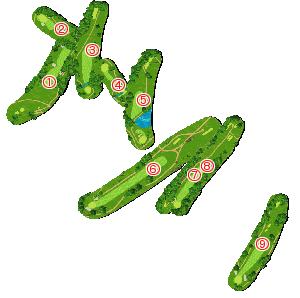 コース全体俯瞰図