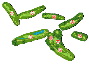 コース全体俯瞰図