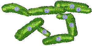 コース全体俯瞰図