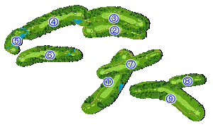 コース全体俯瞰図