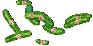 コース全体俯瞰図