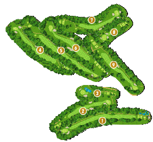 コース全体俯瞰図