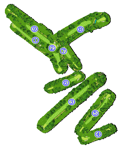 コース全体俯瞰図