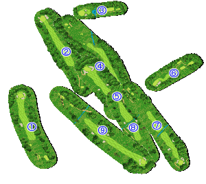 コース全体俯瞰図