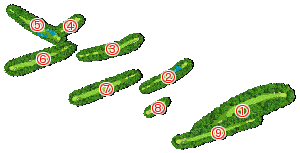 コース全体俯瞰図