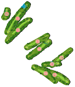 コース全体俯瞰図