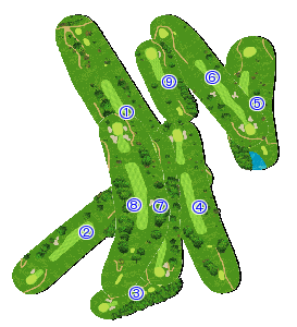 コース全体俯瞰図