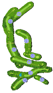 コース全体俯瞰図