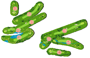 コース全体俯瞰図