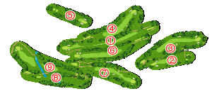 コース全体俯瞰図