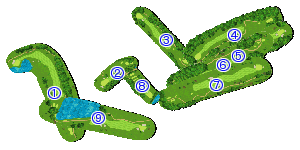 コース全体俯瞰図