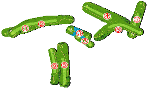 コース全体俯瞰図
