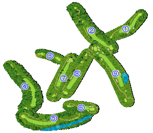コース全体俯瞰図