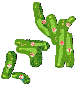 コース全体俯瞰図