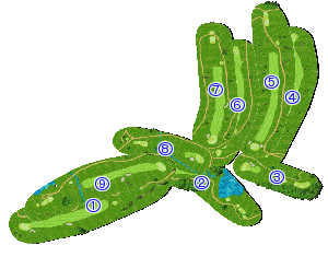 コース全体俯瞰図