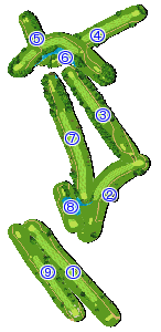 コース全体俯瞰図
