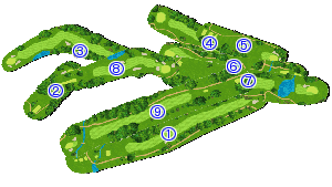 コース全体俯瞰図