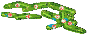 コース全体俯瞰図