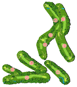 コース全体俯瞰図
