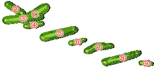 コース全体俯瞰図