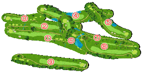 コース全体俯瞰図