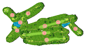 コース全体俯瞰図