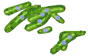 コース全体俯瞰図