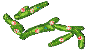 コース全体俯瞰図