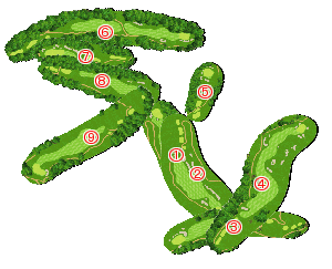 コース全体俯瞰図