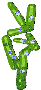 コース全体俯瞰図
