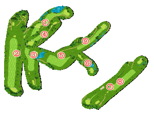 コース全体俯瞰図