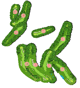 コース全体俯瞰図