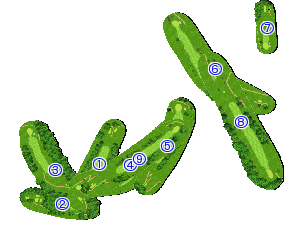 コース全体俯瞰図